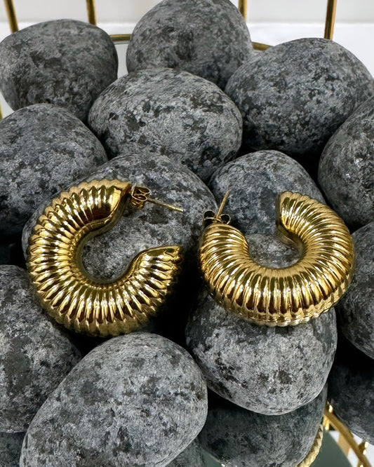 Zia chunky hoops